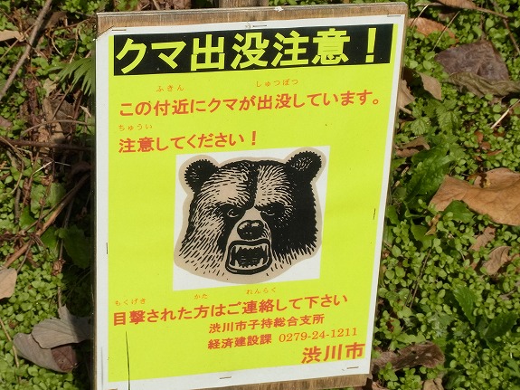 熊出没注意！！